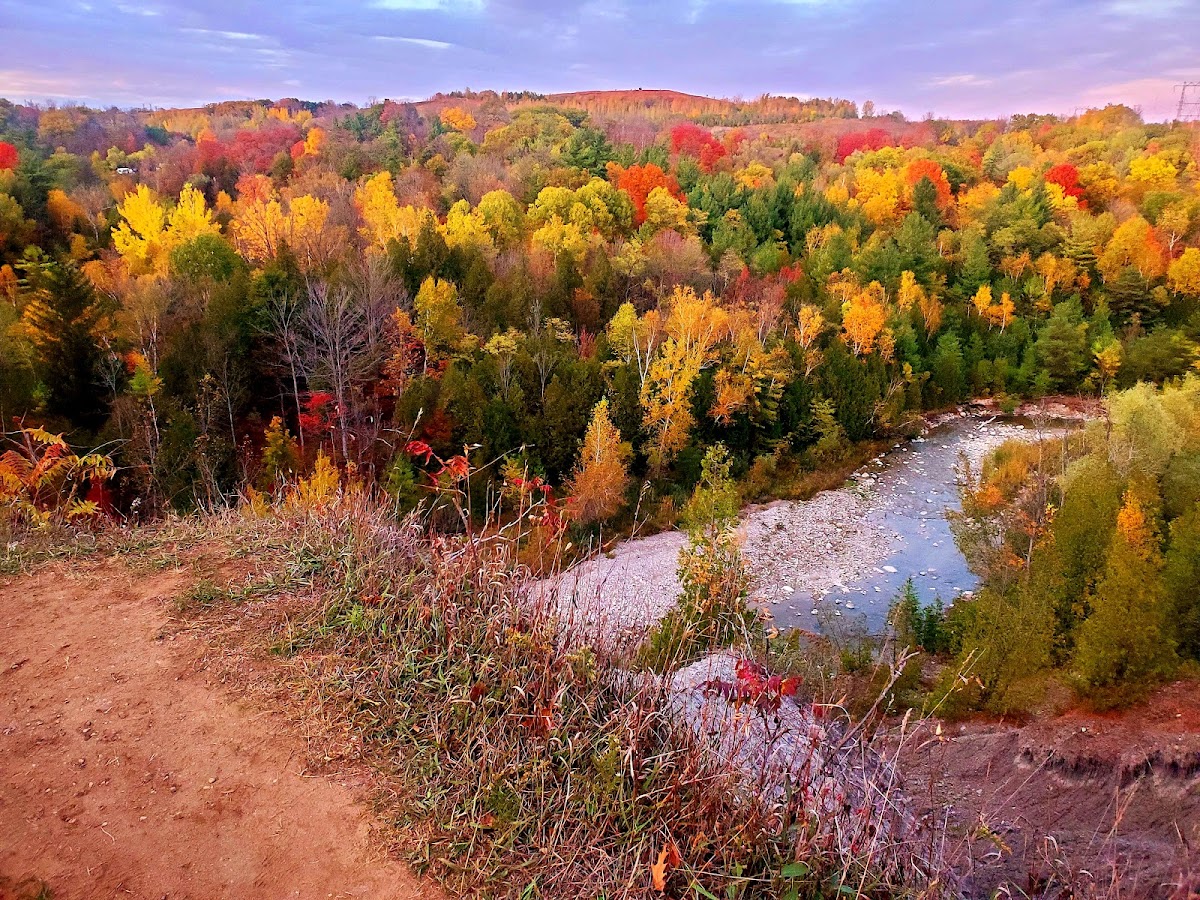 Rouge Park — site photograph